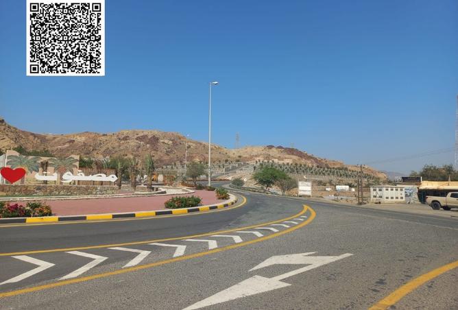 15763185 - Property Image 3