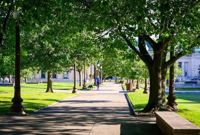 15681157 - صورة العقار 3