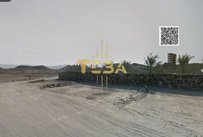 15232508 - صورة العقار 3