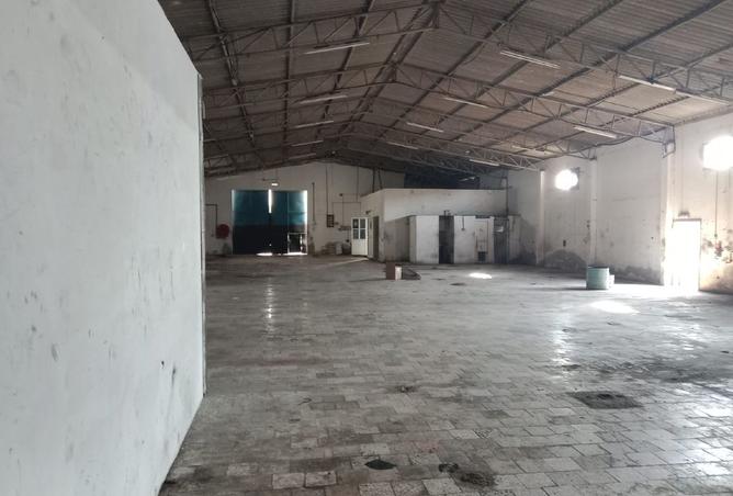 15603286 - صورة العقار 3