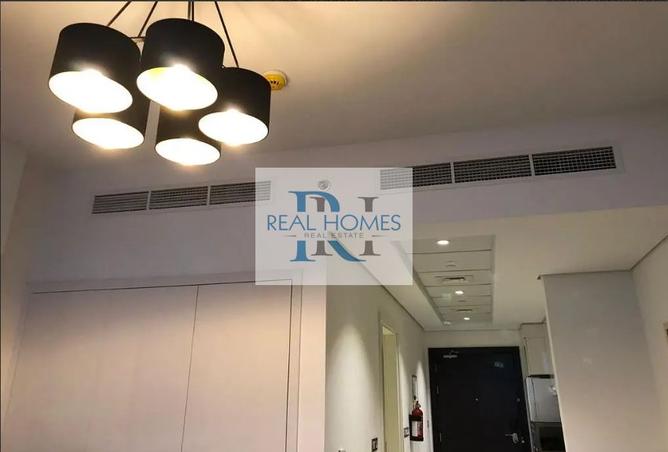 15975129 - Property Image 3