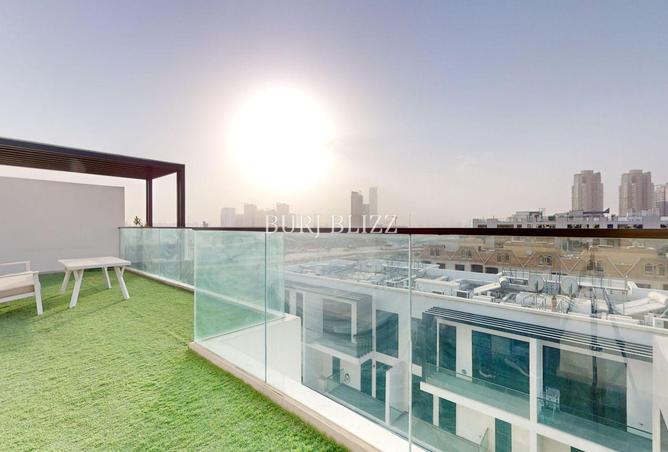 16105255 - Property Image 3