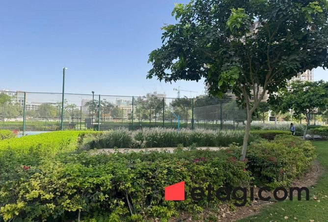 15567191 - صورة العقار 3