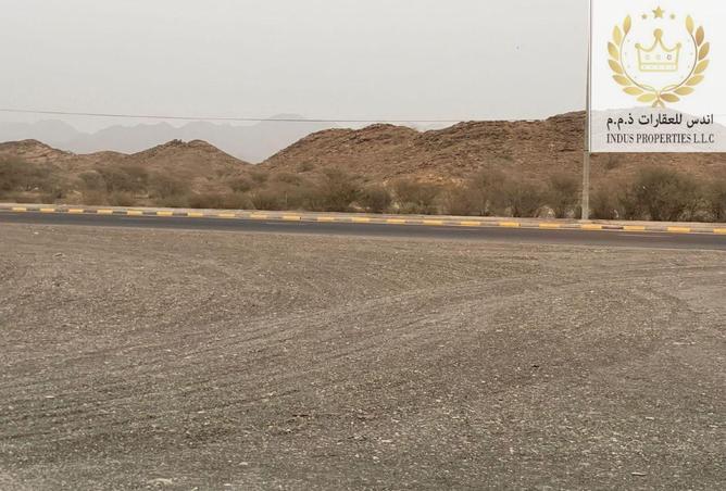 14797501 - صورة العقار 3