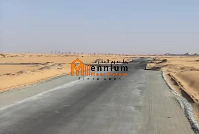 15665978 - Property Image 3