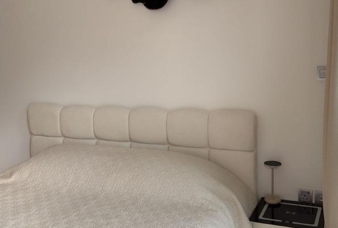 15952992 - Property Image 2