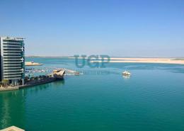Apartment - 4 bedrooms - 5 bathrooms for sale in Al Rahba - Al Muneera - Al Raha Beach - Abu Dhabi Apartment - 4 bedrooms - 5 bathrooms for sale in Al Rahba - Al Muneera - Al Raha Beach - Abu Dhabi