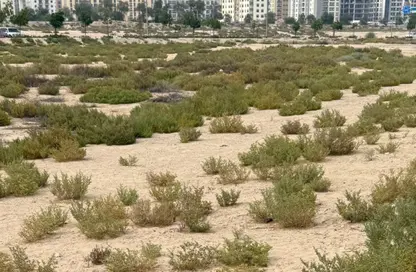 أرض - استوديو للبيع في سيح شعيب 2 - مدينة دبي الصناعية - دبي