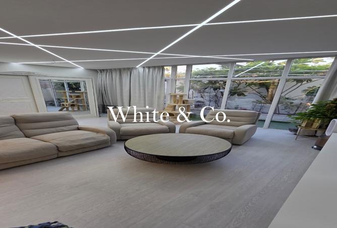 15292446 - Property Image 3