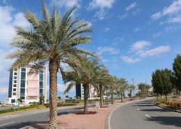 Apartment - 2 bedrooms - 3 bathrooms for rent in Lagoon B7 - The Lagoons - Mina Al Arab - Ras Al Khaimah