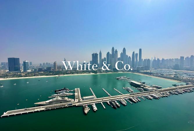 15528997 - Property Image 2