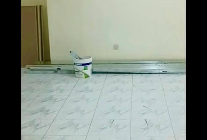 15164030 - Property Image 3