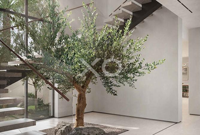 15658806 - صورة العقار 3