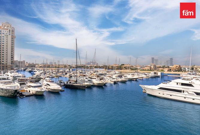 15642643 - صورة العقار 2