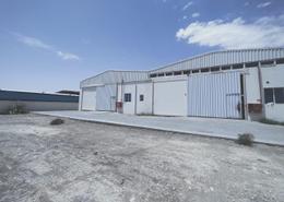 Warehouse - 1 bathroom for rent in Al Ain Industrial Area - Al Ain