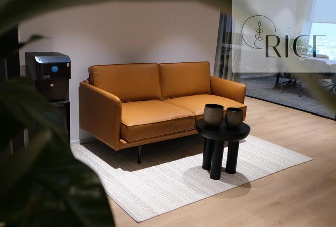 15756523 - Property Image 3