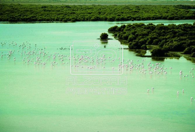 16019353 - صورة العقار 3