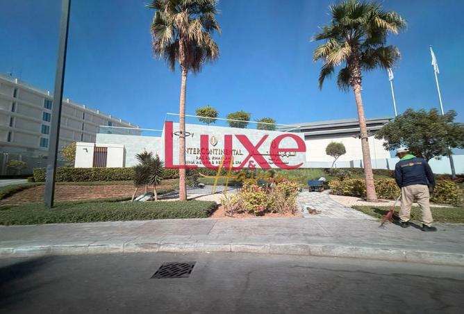 15687391 - Property Image 3