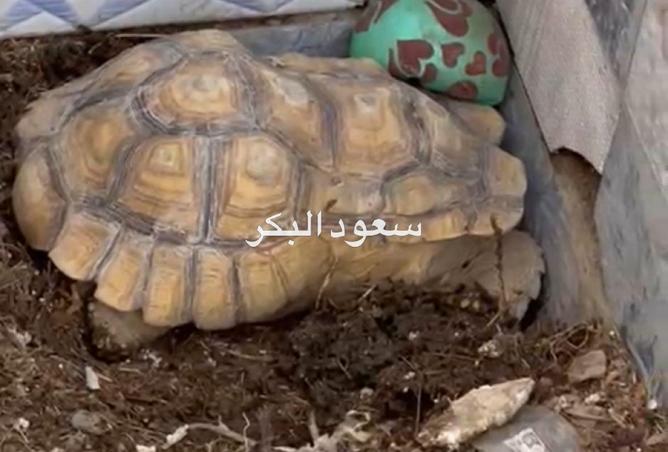 15945657 - Property Image 3