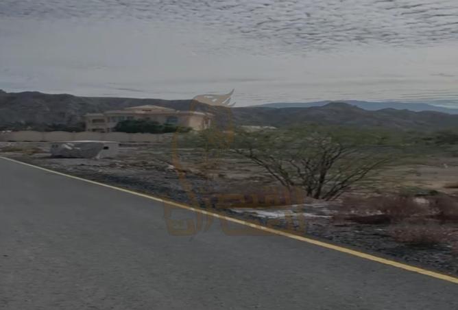 16042193 - Property Image 2