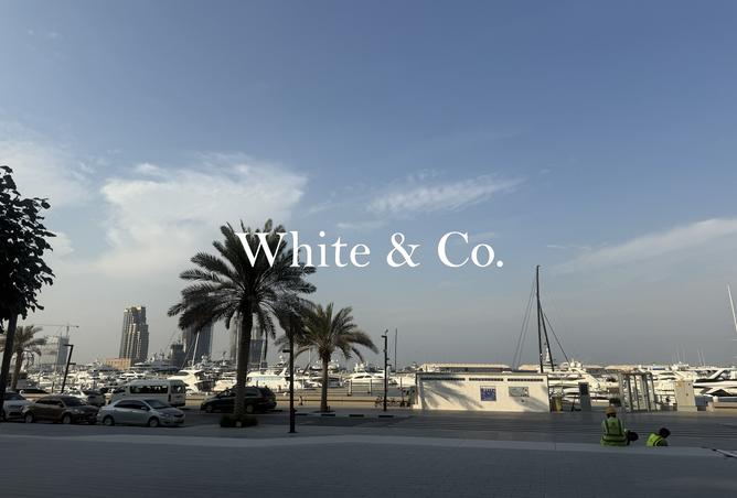 15561334 - صورة العقار 3