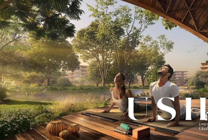 15553401 - Property Image 3