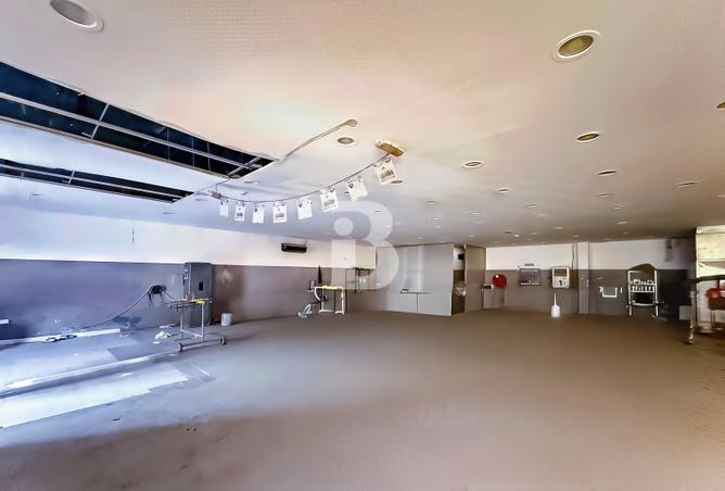 16101445 - Property Image 3