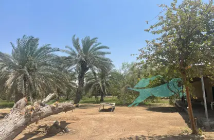 مزرعة - استوديو للبيع في كيزاد - السمحة - أبوظبي