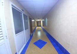 Apartment - 1 bedroom - 1 bathroom for rent in Al Thani Muwaileh - Muwaileh Commercial - Sharjah