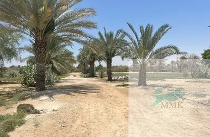 Farm - Studio for sale in Al Ajban - Abu Dhabi