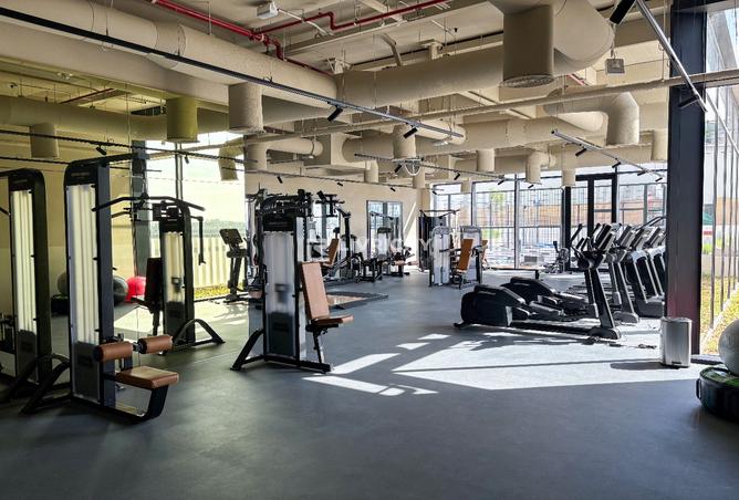 15566172 - Property Image 3