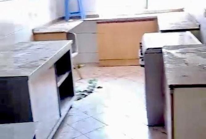 15416381 - Property Image 2