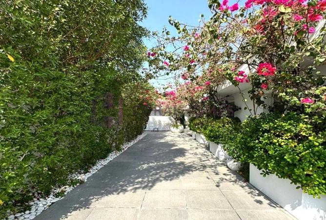 15972390 - Property Image 3