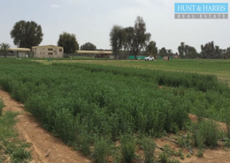 Vegetable Farm - Already Operational - Excellent Location