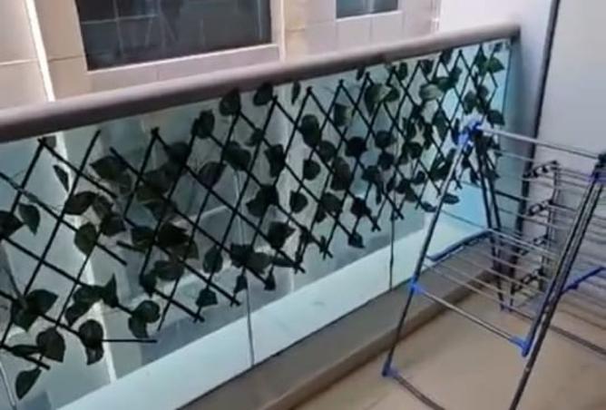 16103534 - Property Image 2