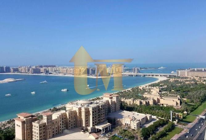 15669736 - صورة العقار 3