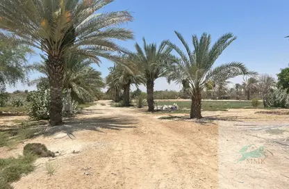 Farm - Studio for sale in Al Khatim - Abu Dhabi