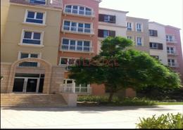 Studio - 1 bathroom for rent in Building 148 to Building 202 - Mogul Cluster - Discovery Gardens - Dubai
