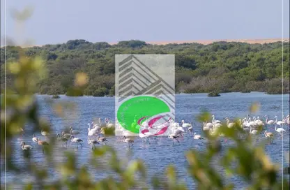 أرض - استوديو للبيع في ديستريكت 9 - الزورا - عجمان