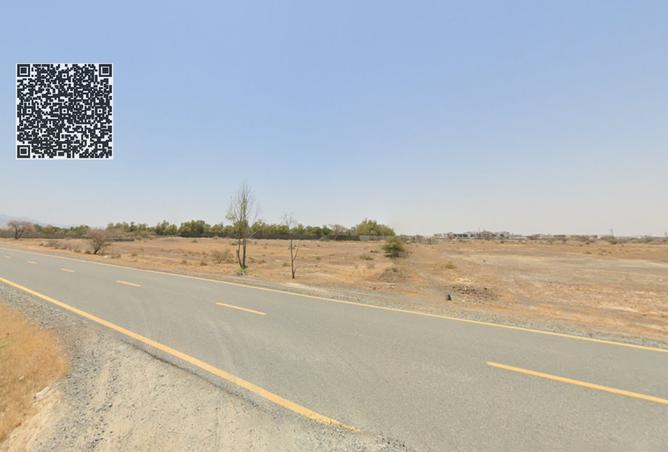 15978977 - Property Image 3