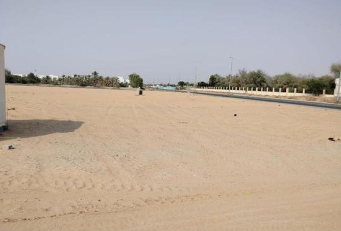 15518327 - Property Image 3