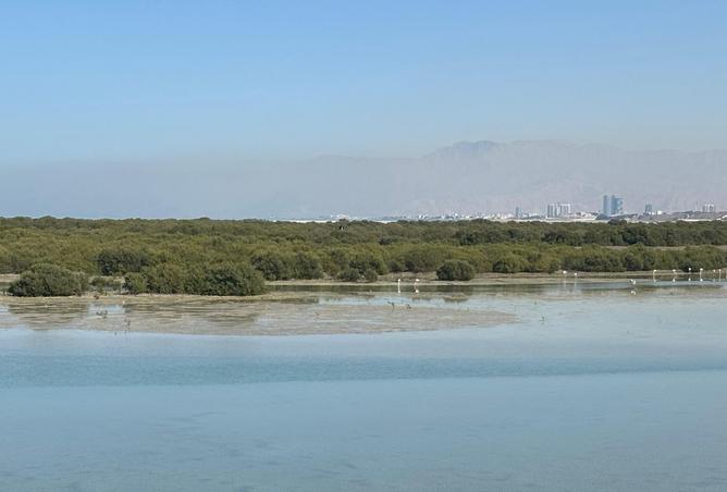 15273605 - صورة العقار 2