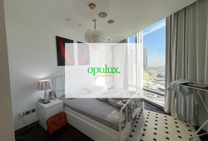 15834128 - Property Image 3