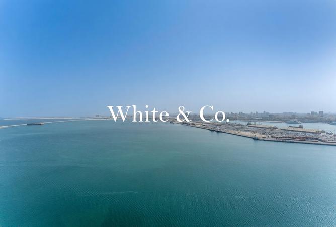 15651186 - الصورة الرئيسية للعقار