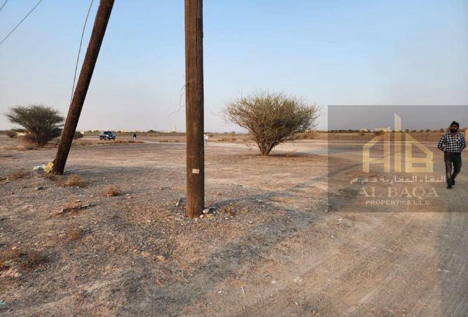 15304944 - Property Image 2