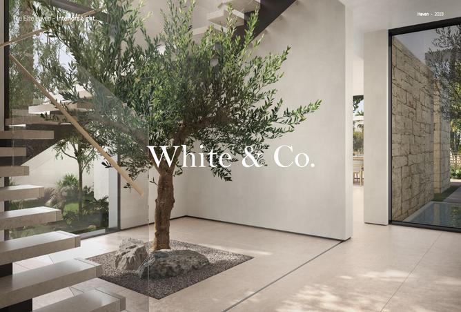 15747522 - صورة العقار 3