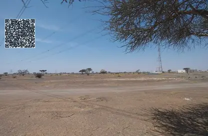 أرض - استوديو للبيع في المنامة - عجمان