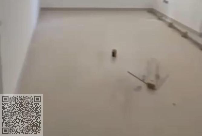 15738616 - Property Image 3