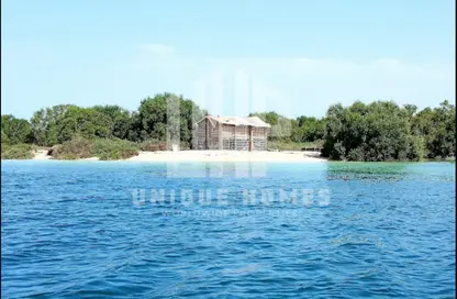 Villa - 6 Bedrooms - 7 Bathrooms for sale in Ramhan Island Villas - Ramhan Island - Abu Dhabi