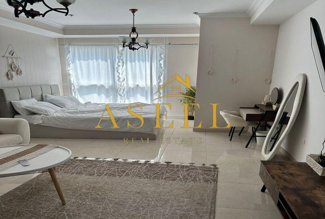 15563656 - Property Image 2